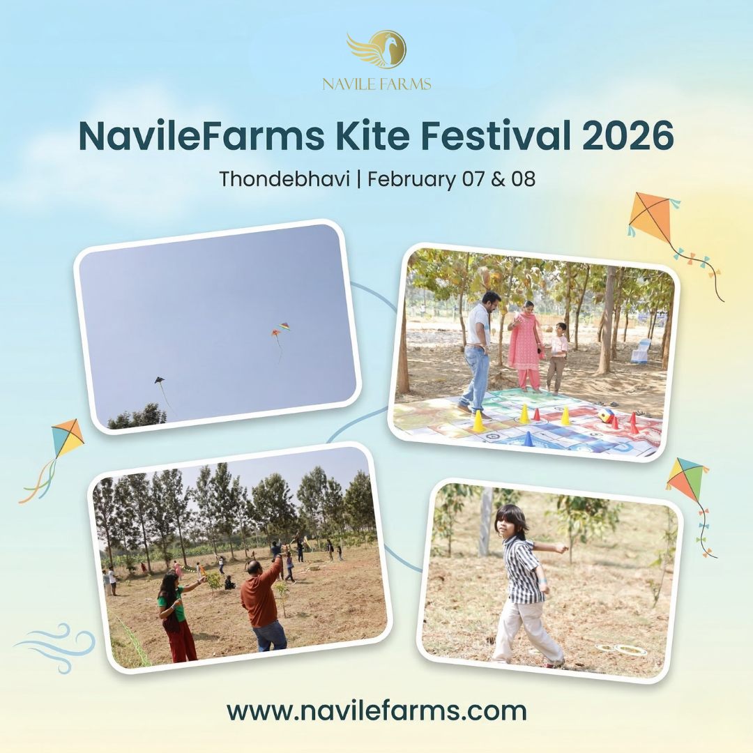 Evening Kite Festival